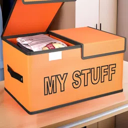 Aura Orange Set of 1 Regular Multi-Utility Organisers-37