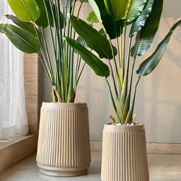 Mason Home Hanover Beige Planter-50