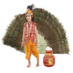 RAJ FANCY DRESSES Woven Janmasthami Theme Sleeveless Ethnic Embroidered Lord Krishna Costume Set - Multi Colour-image-14