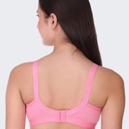 POOJA RAGENEE Pack of 3 Full Coverage Bra with All Day Comfort image 3