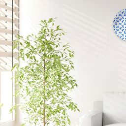 THE QUIRKY HOME White & Blue Printed Ceramic Wall Plates-image-67