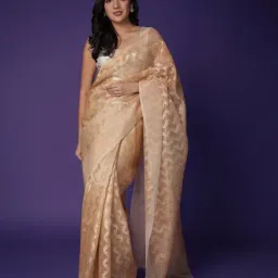 Zari Jaipur Gold Silk Woven Design Saare with Unstitched Blouse-picture-27