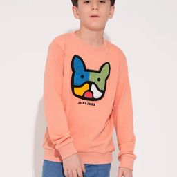 Jack & Jones Junior Boys Peach Cotton Blend Embroidered Sweatshirt-image-64