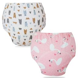 Bembika Babies Cotton Potty Training Pants Printed Design Pack 2 M Size - Multicolor-picture-32