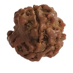 RAVIOUR LIFESTYLE Unisex Brown Pendant-image-54