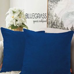 Blue Grass Blue 2 Pieces Velvet Square Cushion Covers-image-72