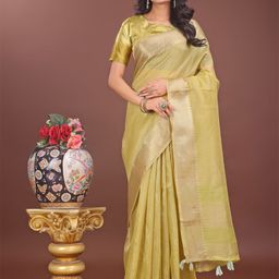DIVASTRI Women Stripped Woven Design Zari Organza Saree-image-61