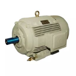 CG Power Three Phase 75 HP 4 Pole Foot Mounting Crusher Duty Motor, ND250MX-image-61