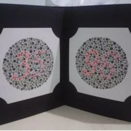 Kashsurg Ishihara Color Blindness Test Book Plates (Model – KSIPL-038)-34