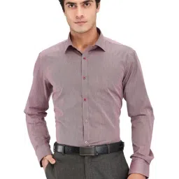 Park Avenue Maroon Slim Fit Striped Shirt-picture-29