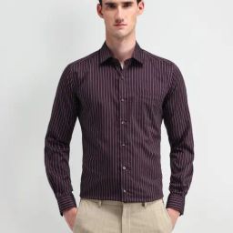 Arrow Dark Purple Cotton Slim Fit Striped Shirt-image-37