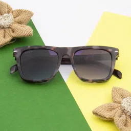 Ted Smith Unisex Wayfarer Sunglasses with UV Protected Lens ATRIA_C5-14