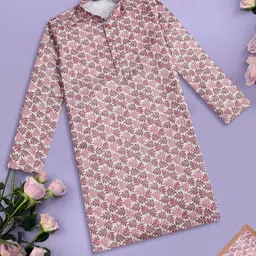 Sangria Boys Chikankari Mandarin Collar Cotton Straight Kurta-image-8