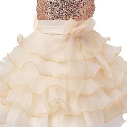 Wish little Net A-Line Dress image 3