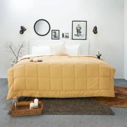 Spaces Silkysoy Solid Light Brown 90 GSM Microfibre Single Bed Quilt-image-62