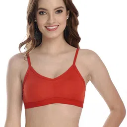 Samvar Multi Cotton Non-Wired Non Padded Minimizer Bra-picture-5