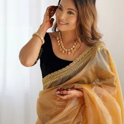 Panzora Sequinned Net Saree image 3