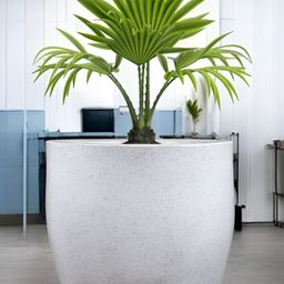 Go Hooked White & Green Pluto-Shaped Durable Planter-14