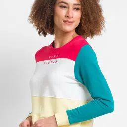 Spykar Multicolored Color-Block Sweatshirt image 3