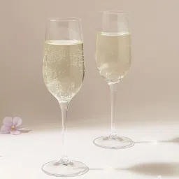 Wonderchef Transparent Glass Champagne Inventa Flute Stemware 215 ml - Set of 2 image 1
