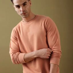 Dillinger Brown 100% Cotton Regular Fit T-Shirts-image-12