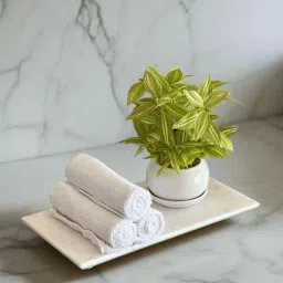 Mason Home Auric White Marble Flat Tray image 1