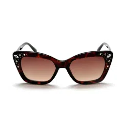 Bebe BB3039 Brown Gradient Cat Eye Sunglasses-picture-17
