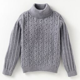 Yellow Apple Viscose Knit Full Sleeves Sweater with Cable Knit Design - Grey-image-89