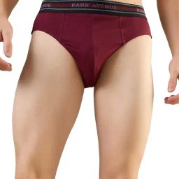 Park Avenue Maroon Pure Cotton Regular Fit Solid Briefs (Pack of 2)-picture-42
