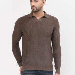 Kalt Brown Regular Fit Texture Polo T-Shirt-image-65