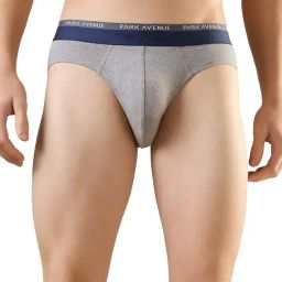 Park Avenue Grey Cotton Blend Regular Fit Solid Briefs (Pack of 2)-image-50