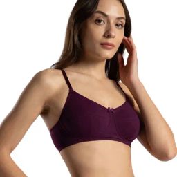 Van Heusen Maroon Cotton T-Shirt Bra-46