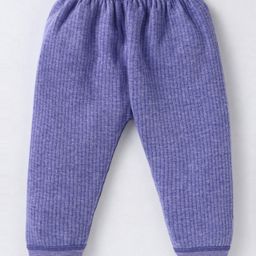 Bodycare Cotton Knit Full Length Thermal Pant with Stripes Detailing - Purple-image-34