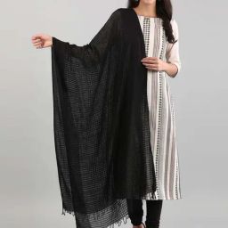 Aurelia Black Cotton Chequered Dupatta-image-24