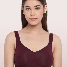 Enamor Maroon Sports Bras-picture-6