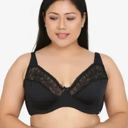 Curvy Love Black Under-Wired Padded Plunge Bra-picture-33