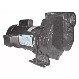 Dayton 1/3 HP Single Phase Centrifugal Pump, 5WXU4-image-24