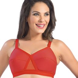 Sonari Pack of 2 Full-Coverage Bras image 4