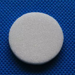 Rasayan Filter Disc Porcelain 71301-40