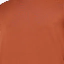 Dida Rust Polyster Regular Fit Colorblock T-Shirt image 5