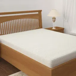 HOSTA HOMES White Terry Cotton Anti-Dust Mattress Protector - Set of 1-image-24