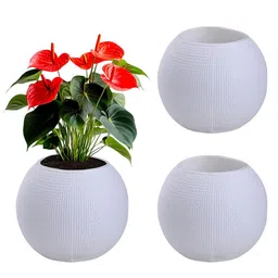 Kuber Industries 3Pcs White Pot Shaped Flower Planters-5
