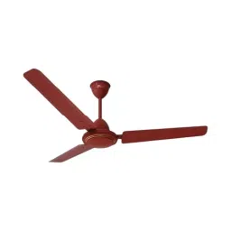 RR Signature TIGER Ceiling Fan Brown 900 mm Sweep 380 RPM-image-74