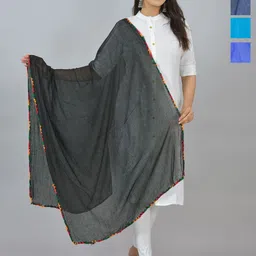 LA FEMINAE Dupatta-picture-15