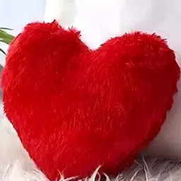JDX Red Heart-Shaped Microfibre Pre-Filled Cushion-12