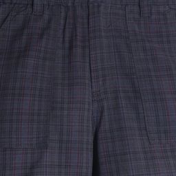 Cherry Crumble By NItt Hyman Fine Checkered Button Down Summer Shorts - Multi Colour image 5