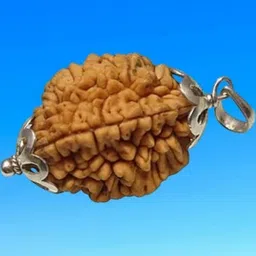 Divine souvenirs Unisex Brown Rudraksha Silver-Plated Pendant-image-10
