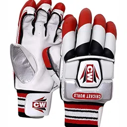 CW Men Cricket Batting Gloves-image-43