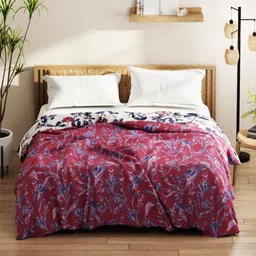 KOPA Rose & White Floral Microfiber AC Room 150 GSM Double Bed Comforter-image-37