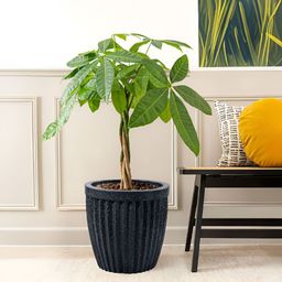 RUBOXA Black Textured UV ProtectedBig Size Flower Pot-image-6